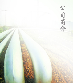公司简介