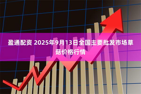 盈通配资 2025年9月13日全国主要批发市场草菇价格行情