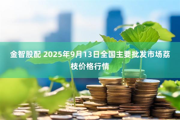 金智股配 2025年9月13日全国主要批发市场荔枝价格行情