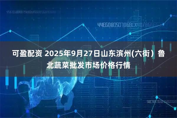 可盈配资 2025年9月27日山东滨州(六街）鲁北蔬菜批发市场价格行情