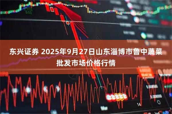 东兴证券 2025年9月27日山东淄博市鲁中蔬菜批发市场价格行情