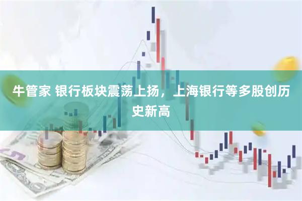 牛管家 银行板块震荡上扬，上海银行等多股创历史新高